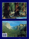 Delcampe - Le Parc National De Yosemite (Edition Française), Par Virginia Wolfe & Michael Schankerman (64 Pages, 1994) - Nature