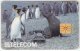 CZECH REP. B-746 Chip Telecom - Animal, Penguin, Communication, Historic Telephone - Used - Tsjechië