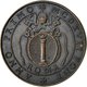 Italie, Médaille, Etats Pontificaux, Martinus V, 1567, SUP+, Bronze - Other & Unclassified