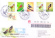 TAIWAN : 03-11-2007, FIRST DAY COVER : BIRDS OF TAIWAN, SET OF 4V : COMMERCIALLY SENT TO INDIA VIA REGISTERED AIRMAIL - Brieven En Documenten