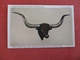 Taxidermy    Largest Steer Horn In The World   Valued $ 5,000.00   Buckhorn Saloon San Antonio Texas      Ref 3002 - Autres & Non Classés