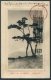 1915 Japan Postcard Hirosaki - Captain Of German Cruiser 'Berlin' - Covers & Documents