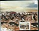 7574  Terres Australes Et Antarctiques Françaises  Carnet De Voyage   C 308  (n°308/21)    2001      SUPERBE - Carnets