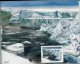 Delcampe - 7574  Terres Australes Et Antarctiques Françaises  Carnet De Voyage   C 308  (n°308/21)    2001      SUPERBE - Boekjes