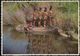 South Africa - Zulu Girls - Nude - Nice Stamp - Südafrika