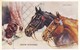 Postcard Polo Ponies Show Winners And Springer Spaniel Artwork By Mabel Gear Horse Studies Series My Ref  B12271 - Horses