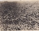 BOXE - Cliché Du Combat Du Championnat Du Monde "Georges CARPENTIER - Jack DEMPSEY"en 1921 à JERSEY-CITY - Voir Descript - Boxing