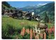 Suisse -- VS --Val D'Anniviers --Village De GRIMENTZ --1967--Vue Générale (fleurs) - Grimentz