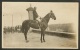 Carte Photo Raymond Poitiers-Cheval , Cavalier - Chevaux