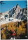 Chamonix - Mont-Blanc - L'Aiguille De Dru 3754 M. Et Le Train Du Montenvers En Automne - (F.) - Treinen