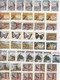 Delcampe - COLOMBIA  - LOT OF STAMPS  - 13 SCANS / TBS - Collections (sans Albums)