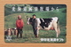 Japon Japan Phonecard (C) / - Cows