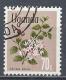 Uganda 1969. Scott #123 (U) Flowers, Carissa Edulis - Ouganda (1962-...)