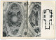 Angelicum Banz Am Main 1961 - 16 Seiten Mit 10 Abbildungen - Verlag Schnell &amp; Steiner München - Architectuur