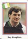 USA 94 Coupe Du Monde Football N°316 RAY HOUGHTON IRLANDE Pas PANINI - Altri & Non Classificati