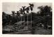 Delcampe - LOT DE 40 PHOTOS DE COCHINCHINE - SAIGON ET ENVIRONS A IDENTIFIER - ANNEE 1955 - Lieux