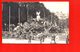 Apothéose De La Victoire - 14 Juillet 1919 - Le Coq Gaulois De 1914 Surmontant La Pyramide Des Canons Allemands - Demonstrationen