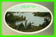 THOUSAND ISLANDS, ONTARIO - LOOKING WEST FROM SLAVE ISLAND -  THE VALENTINE &amp; SONS PUB - - Thousand Islands