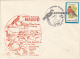 72036- KESTREL, HERON, STORK, BUSTARD, BIRDS, SPECIAL COVER, 1992, ROMANIA - Autres & Non Classés