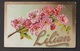 General Greetings - Embossed Flowers Personalized - Used C1910 - Stamp Missing - Firstnames