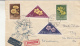 D7780- LEOPARD'S BANES, FLAX, LILY, DIANTHUS, FLOWERS, SPECIAL COVER, 1958, HUNGARY - Andere & Zonder Classificatie