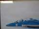 Delcampe - Patrouille De France - Lithographie Alpha Jet - Profil - Dédicacé - Meeting - 24 Mai 1990 - Le Havre - G. Beernard - Ill - Aviación