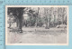 White Lake Ontario Canada - Harry Box's Grove Camping  - Postcard, Post Card, Carte Postale - Autres & Non Classés