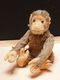 Peluche 154_grand Singe « jocko » Steiff - Steiff Animals