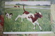 Cow In Art - OLD USSR Postcard  - Plastov  "Calf And Dog"  1956 - Vache - Kühe