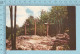 Rigaud Quebec Canada - Le Calvaire - CPM Carte Postale Post Card - Autres & Non Classés