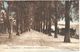 Deutschland - Rhénanie-Palatinat - Koblenz - Promenade Sur Les Bords Du Rhin - Koblenz