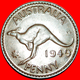 # KANGAROO: AUSTRALIA ★ PENNY 1949! LOW START ★ NO RESERVE! - Penny