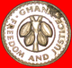 # CACAO: GHANA ★ 5 PESEWAS 1973 BU! LOW START ★ NO RESERVE! - Ghana