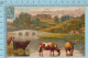 CPA Voyagé 1905 - Raphael Tuck ,  -  "Saxony  On The Trent By F.W. Hayes"  Art Series #6031 - Stamp CND #89 - Tuck, Raphael