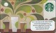 Germany  Starbucks Card "How To Make Coffee" Mini 2014-6120 - Gift Cards