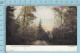 CPa - Tally Ho Coach Route, Muskoka Ontario Canada, On Warwick Bros Card -  Used In 1907 Stamp  Canada 1&cent; - Autres & Non Classés