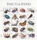 USA - 1998 - SHEET INSECTS & SPIDERS MNH** / TBS2 - Feuilles Complètes
