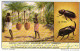 1668  INSECTEN VAN KONGO SCHADELIJK VOOR DE LANDBOUW - Insectes Du Congo Nuisibles ... Liebig Serie  –  Read Description - Liebig