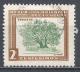 Uruguay  1954. Scott #607 (U) Ombu Tree * - Uruguay