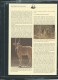 Dossier Wwf Complet - L'eland  De  Derby ( Voir Les Scans ) -(  11/08/1986 ) - Fab 65 - Mali (1959-...)