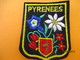 Ecusson Tissu Ancien à Coudre/France /Région PYRENEES //  Années 1970-1980                ET238 - Patches