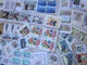 Vrac Timbres Monde Sur Fragments : Animaux, Fleurs, Personnages, ... A étudier - Voir Photos - Lots & Kiloware (mixtures) - Max. 999 Stamps