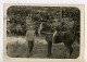 France WWI Sur Le Front Cirque Militaire Dressage De Chevaux Ancienne Photo 1917 - War, Military