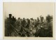 France WWI Sur Le Front Tirailleurs Marocains &amp; Algiériens Ancienne Photo 1917 - Guerre, Militaire