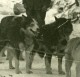 France WWI Alsace Traineaux Militaires à Chiens Scene D'Hiver Ancienne Photo 1917 - War, Military