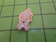 1515B Pin's Pins / Rare Et Belle Qualité THEME AUTRES / TERRORISTE CORSE MASQUE ET CAGOULE MAIS A GENOUX !! LOL - Other & Unclassified