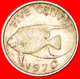 # FISH (1970-1985): BERMUDA ★ 5 CENTS 1970! LOW START ★ NO RESERVE! - Bermuda