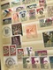 1 Classeur De Timbres Neufs Avec Ou Sans Gommes (voir Photos) - Unused Stamps