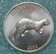 Congo - DRC 25 Centimes, 2002 Animal - Weasel ↓price↓ - Congo (République Démocratique 1998)