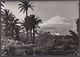 SPAIN  ,  TENERIFE  ,  OLD  POSTCARD - Tenerife